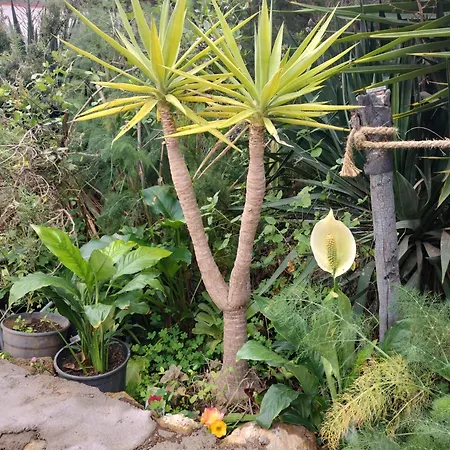 Aurora Ecorural Vakantiehuis