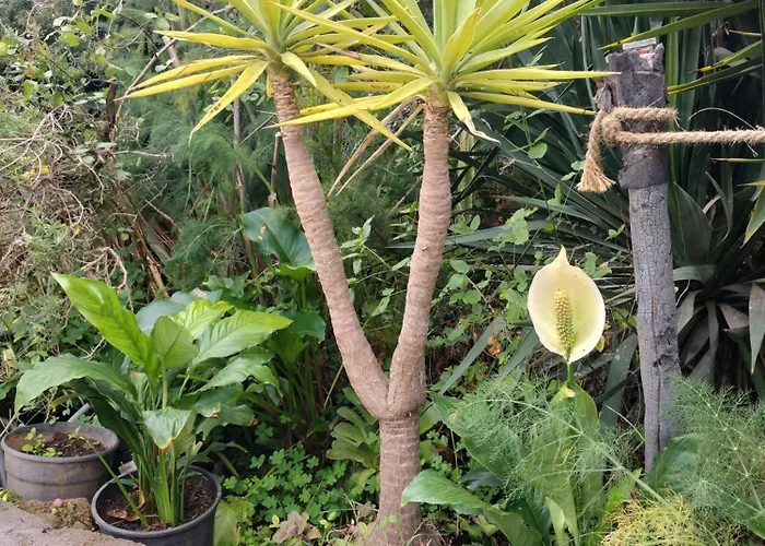 Aurora Ecorural Ferienhaus