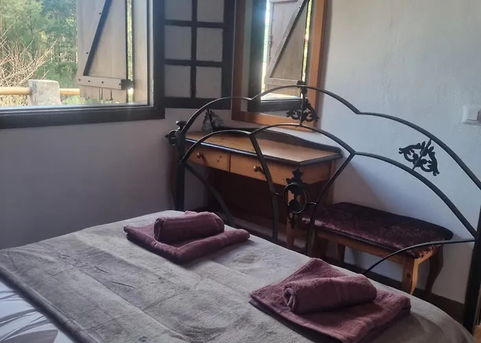 Aurora Ecorural Icod De Los Vinos